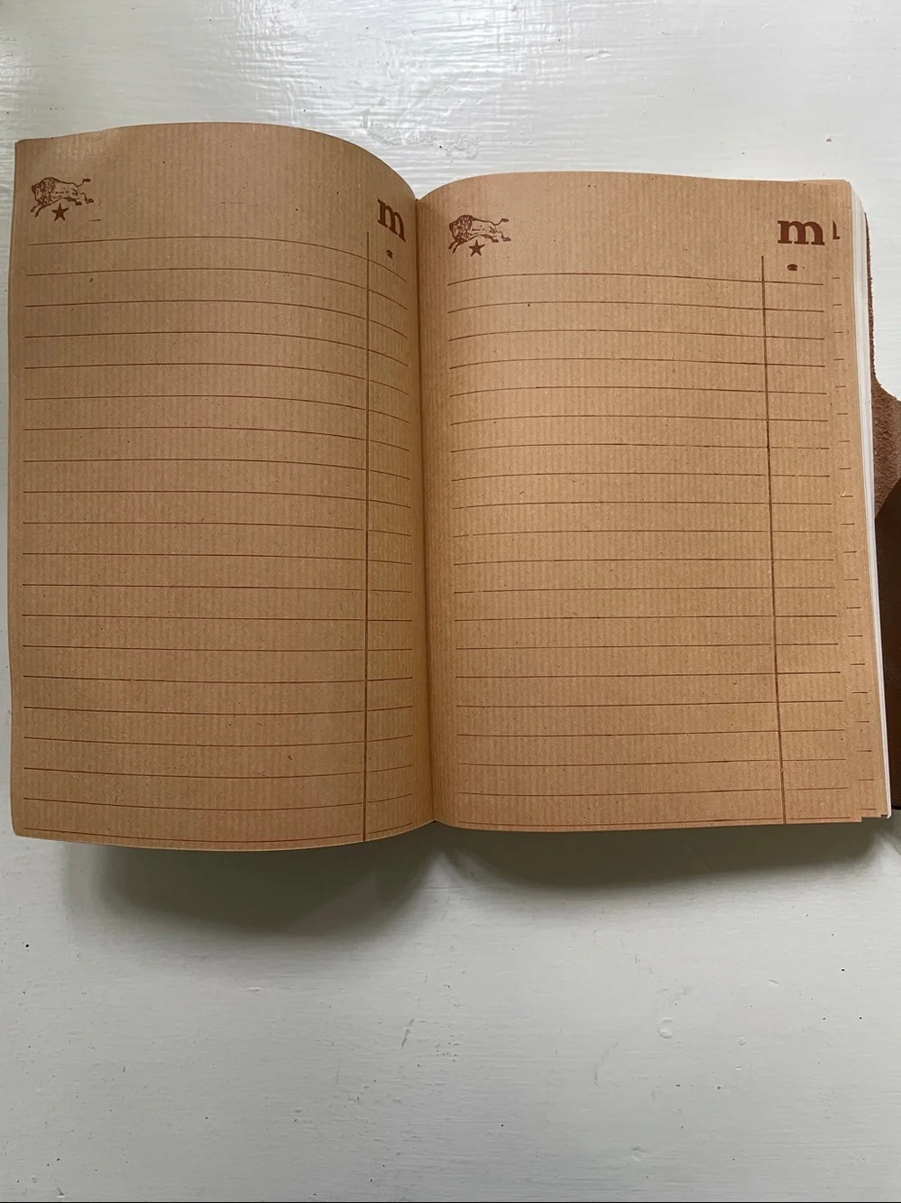 Il Bisonte Leather Journal Folio - Brown